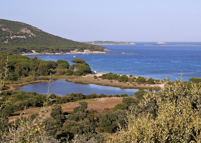 Porto-Vecchio (Corsica) photo