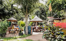 Lebo'S Soweto Backpackers Hostel Exterior photo