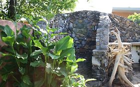 Palm-Covered House In The Tropical -Casa Oli Villa Las Galeras Exterior photo