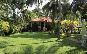 Pavana Hotel Negombo Exterior photo