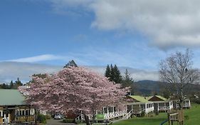 Turangi Bridge Motel Exterior photo