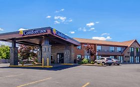 Comfort Inn Saint Catharines Exterior photo