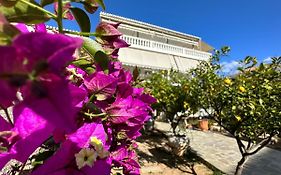 Kamelia Hotel Spetses Town Exterior photo