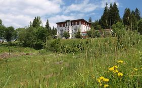 Das Waldhotel - Genuss & Wellness Am Notschreipass Todtnau Exterior photo