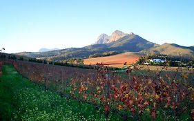 Marianne Wine Estate Bed & Breakfast Stellenbosch Exterior photo