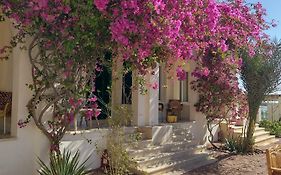 Marine Garden Camp Hostel Dahab Exterior photo