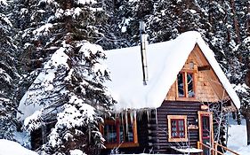 Pioneer Guest Cabins Crested Butte Exterior photo