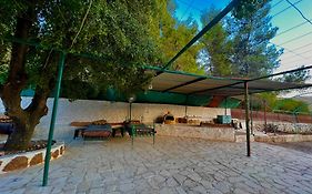 Oak Farm مزرعة الملّول Guest House Ajloun Exterior photo