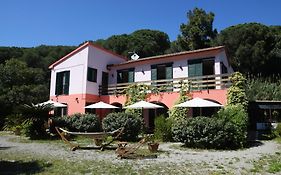 Villa Gaia Portoferraio Exterior photo