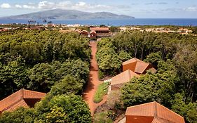 Alma Do Pico - Nature Residence Madalena  Exterior photo