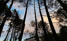 Lap Of Himalayas Resort Kausani Exterior photo