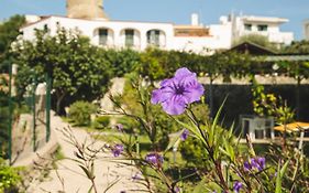 Victoria Park Resort Ischia Exterior photo