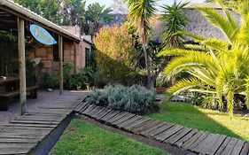 Saltycrax Backpackers And Surf Hostel By Curiocity Bloubergstrand Exterior photo