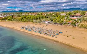 Coral Blue Beach Hotel Gerakini Exterior photo