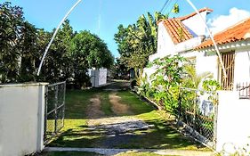 El Conde De Villa Rosa Punta Cana Exterior photo