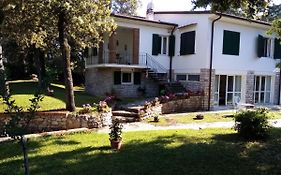 Villa Aurora Tirrenia Exterior photo