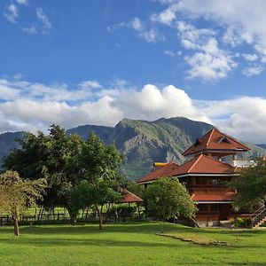 Avadale Masinagudi - Stag Groups Not Allowed Hotel Exterior photo