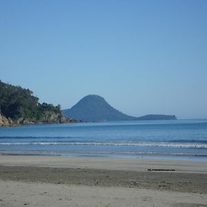 Beachfront Bliss Hotel Ohope Exterior photo