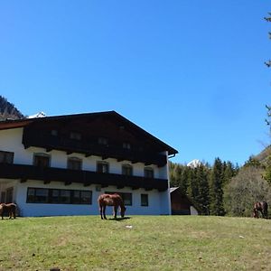 Pension Alpenrose Hotel Sankt Sigmund im Sellrain Exterior photo