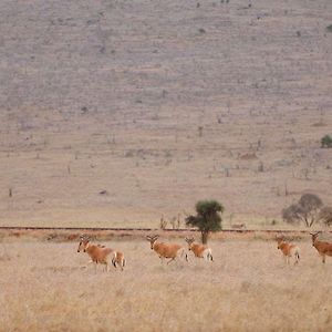 Sarova Taita Hills Game Lodge Voi Exterior photo