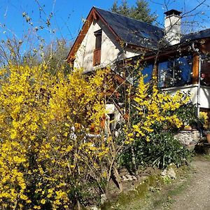 Le Casino Bed & Breakfast Florentin-la-Capelle Exterior photo