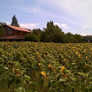 Berdale Bed & Breakfast Lagraulet-du-Gers Exterior photo