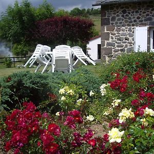 Ferme De Lamourio Bed & Breakfast Saint-Cernin  Exterior photo