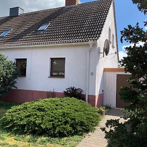 Gemuetliches Ferienhaus Mit Garten Villa Oranienbaum-Woerlitz Exterior photo