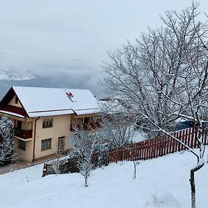 Cabana Muntele Paltinei Villa Somesu Rece Exterior photo