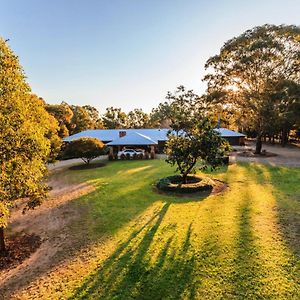 Abelia House B &B Bed & Breakfast Lovedale Exterior photo