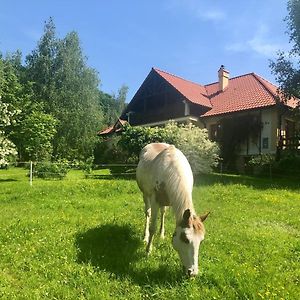 Modryna Ranczo Bed & Breakfast Krasiczyn Exterior photo