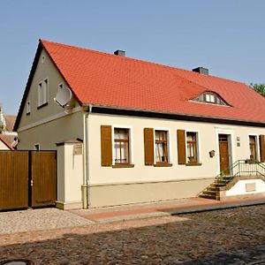 Ferienwohnung Rust Oranienbaum-Woerlitz Exterior photo