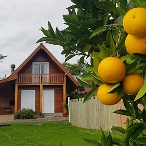 Cabana No Vale Dos Vinhedos Villa Bento Goncalves Exterior photo