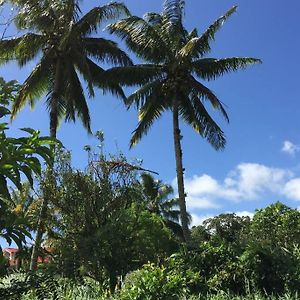 Logement En Pleine Verdure Tropicale -10 Min Plage Apartment Le Morne-Rouge Exterior photo