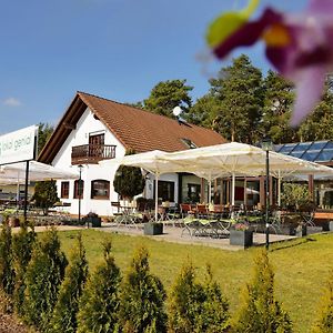 Lokal Genial Pension & Restaurant Beelitz Exterior photo