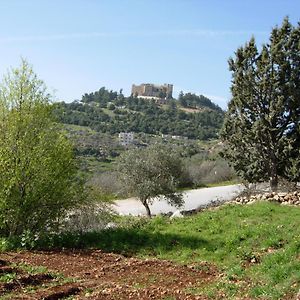 Ajloun Hotel Exterior photo