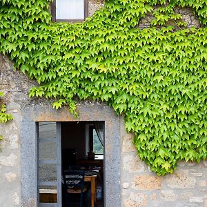 Acqua Di Civita Beauty & Rooms In Mercatello Bagnoregio Exterior photo