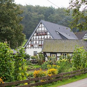 Ferienhof Richard Apartment Lennestadt Exterior photo