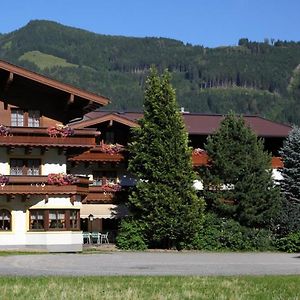 Pension Alpenrose Hotel Maishofen Exterior photo