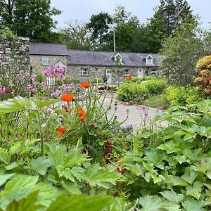 Crug Yr Eryr Isaf Villa Llandysul Exterior photo