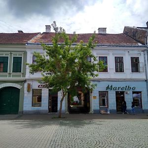 Lionas Central Apartment Bistrita  Exterior photo