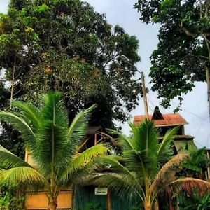 Raices Mompiche Hotel Exterior photo