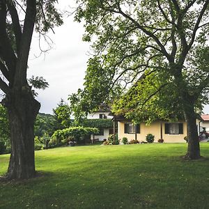 Wein & Gaestehof Erlacher Bed & Breakfast Hartmannsdorf Exterior photo