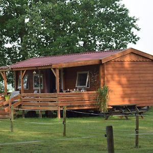 Tiny House Het Reebokje Apartment Vriescheloo Exterior photo