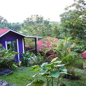 Winika Alterra Hotel Palenque Exterior photo