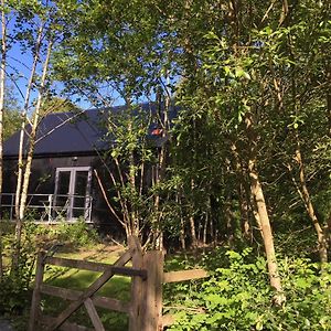 Alder Cabin Villa Kilkenny Exterior photo