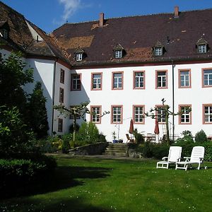 Schloss Triestewitz Aparthotel Arzberg  Exterior photo