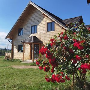 Cabanele Floricrin - Cabana Mare Marisel Exterior photo