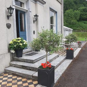 Ballyrafter Country House B&B Lismore Exterior photo