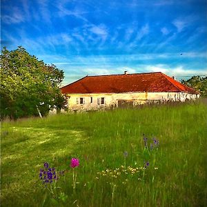 Le Bouyssou Bed & Breakfast Cazes-Mondenard Exterior photo